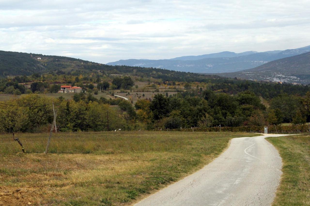 Family Friendly Apartments With A Swimming Pool Cepic, Central Istria - Sredisnja Istra - 11636 Zatka Cepic 외부 사진